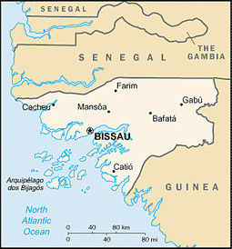 Gvineja Bisau, mala afrička država, smještena na obali Atlantskog oceana