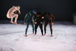 Shaker je izvela izraelska plesna skupina Inbal Pinto Dance Company FOTO: Eyal Landesman 