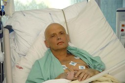 NAKON TROVANJA polonijem Litvinenku su redom pootkazivali organi, a kosa mu je otpala