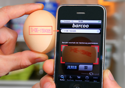 Barcoo je ponudio jednostavan način za otkrivanje zaraženih jaja
