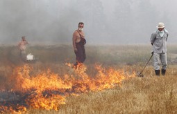 Velike vrućine izazvale su na tisuće požara u Rusiji (Foto: Reuters)