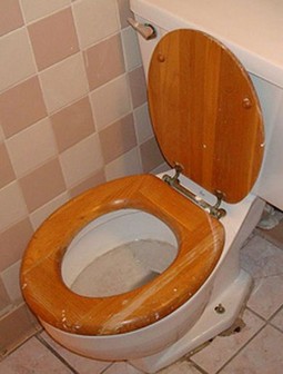 Novi anus je kineskom farmeru otvorio jedan do tada nepoznati svijet sjedenja na WC-u