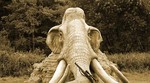 Južnokorejci i Rusi žele zajednički klonirati mamuta