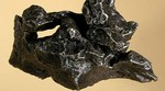 U meteoritima pronađeni sastavni dijelovi DNK