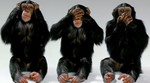 Iran najavio da će poslati majmuna u svemir