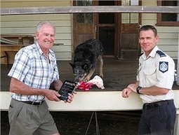 Pas koji je vlasniku spasio život za nagradu je dobio kost