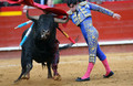 Borba bikova (Corrida) najpoznatija je tradicija Španjolske