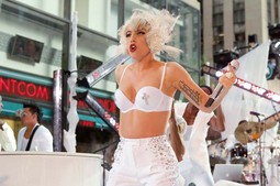 Pop zvijezda Lady Gaga nije htjela bojkotirati Arizonu kako bi izrazila svoje nezadovoljstvo novim zakonom, nego je to učinila obrativši se publici tijekom svog
koncerta u Phoenixu