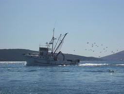 Maroko bi svoju ribarsku flotu obnavljao u Hrvatskoj