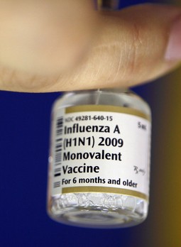 Gripa virusa tipa A prošle je godine izazvala pandemiju