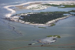 Obalna straža postavlja brane ne bi li zaštitila kolonije pelikana (Reuters)