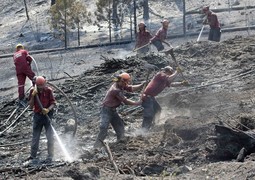 Četiri su vatrogasca poginula, a još su dvojica teško ozlijeđena (Reuters)