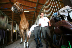 ŠTALAR I GLAVNI JAHAČ 'ERGELE ŠPAR' SRĐAN GRMAŠKOSKI pripremaju za trening pastuha Atilu, potomka prvog konja pasmine holstein Amadeusa koji je 80-tih uvezen u Hrvatsku
