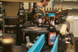 PIVOVARA je nedavno dobila i novu punionicu, a Velebitsko pivo je prije tri godine po izboru Sveučilišta u Oxfordu bilo drugo u svijetu