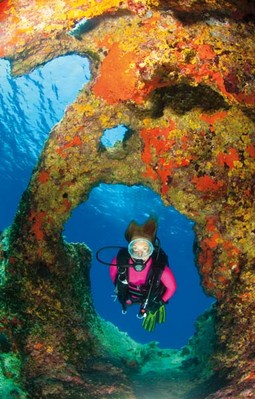 DARIJA GUDAC stalni je podvodni model Danijela Frke u podmorju otoka Sušca koje se ističe
svojom ljepotom