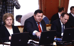 Petar Čobanković