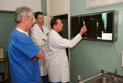 RIJEČKI ORTOPEDI proučavaju rendgenske snimke operacije koljena psa (desno); mačka koju u riječkoj klinici liječe nakon što je ozlijeđena nađena na ulici