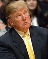 8. Donald Trump: newyorški mogul nekretninama postao je TV zvijezda i predmet sprdnje zbog svoje čudne frizure