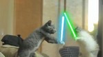 Video: Jedi mace