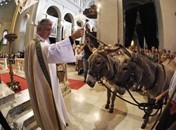 O. Gil Florini u Nici blagoslivlja magarce na spomendan Sv.
Franje - mnoge je magarce blagoslovila
i Crkva u Hrvatskoj