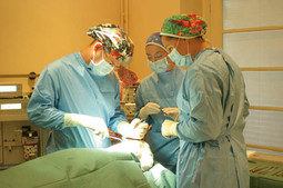 Prezaposleni kirurzi