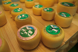 VELEBITSKI SIR sirane Runolist poznat je kao jedan od kvalitetnijih hrvatskih sireva