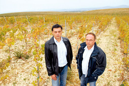 BADELOVI ENOLOZI Dubravko Ćuk i Željko Pavlović nadgledali su sve faze podizanja vinograda koji bi uskoro trebao dati vrhunska crvena vina