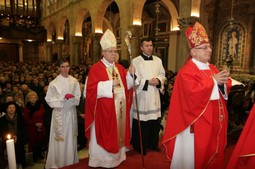 Misu je predvodio šibenski biskup Ante Ivas (Foto: Željko Mršić/PIXSELL)