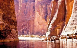 Oaza Guelta, posljednja u kojoj još postoji fosilna voda