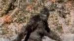 Opet pronađeni 'tragovi Bigfoota', čeka se DNA analiza dlake