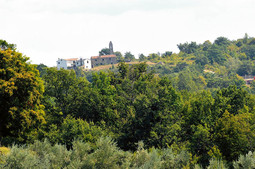 Jakovčić je prvi put kupio 1996. direktnom pogodbom od općine Grožnjan; selo se sastoji od tri ruševne kuće i crkvice