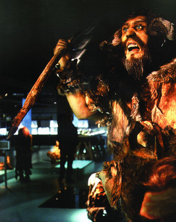 Zbirka fosila krapinskog pračovjeka koja se čuva u Hrvatskome prirodoslovnom muzeju sadržava najveću kolekciju ostataka neandertalaca na svijetu pronađenih na jednom nalazištu