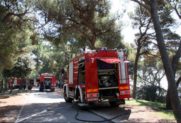 Vatrogasci su požar brzo stavili pod kontrolu (Foto: Ivana Ivanović/PIXSELL)