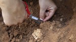 U argentinskoj stepi pronađene ljudske kosti, među najstarijima u Americi