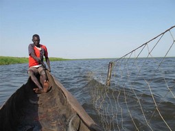 Ribar Samuel svakog dana vesla pola sata do sredine močvarne lagune rijeke Nil, gdje se nalazi njegova mreža
