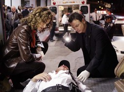 CSI: NY
predvodi Sinise,
a serija je
preživjela unatoc
konkurenciji
poput 'Zakona i
reda'