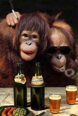 Majmunima se najčešće daje crno vino