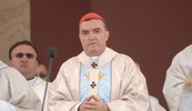 Kardinal Bozanić 
našao se na meti kritika zbog zbog svoje uloge u slučaju Dajla: Photo: Matija Topolovec/PIXSELL