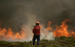 Par je preživio požar, snježnu oluju, potres, poplavu..