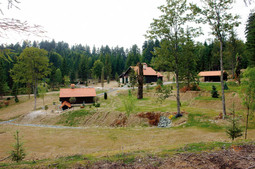 Između Ravne Gore i Skadra, na površini od 6,5 hektara Vidošević je sagradio kompleks nekretnina kojima planira dodati skijašku stazu