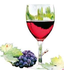 FRANCUZ godišnje popije 64 litre vina