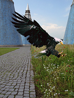 Ptice mogu slobodno šetati krovom (Foto: Bundeskunsthalle)