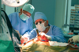 HRVATSKI LIJEČNIK VLADIMIR VELEBIT u Švicarskoj ima privatnu praksu, a operira u Hôpital de la Tour kod Ženeve