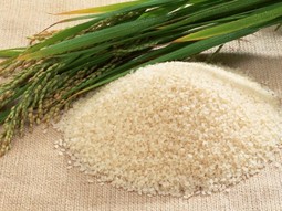 Dijeta s rižom jamči brzo skidanje kilograma