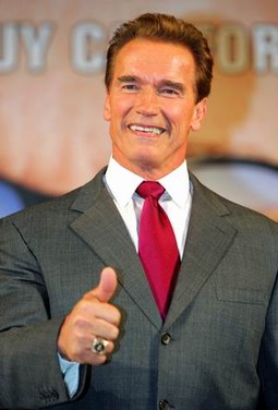 Arnold Schwarzenegger, koji je ovih dana na čelu velike privredne delegacije službeno posjetio Japan, prvi je inozemni političar kojeg je na aerodromu u Tokiju dočekala gomila obožavatelja oboružana fotoaparatima, kamerama i njegovim slikama.