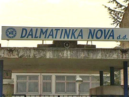 Dalmatinka Nova