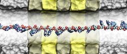 Prikaz prolaska DNK kroz nanopore