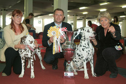 NAJLJEPŠI DALMATINCI Damir Skok proglasio je na Euro Dog Showu 2007 najljepše europske dalmatince na specijalnoj izložbi te autohtone hrvatske pasmine