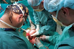 UGRADNJA NOVE JETRE Kirurzi su u jedan sat i dvanaest minuta započeli postupak priključenja nove jetre, koji će trajati puna dva sata