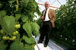Tvrtka Đure Gavrilovića dobit će novac za izgradnju drugog plastenika za uzgoj rajčica, a planiraju proizvodnju proširiti i na druge kulture